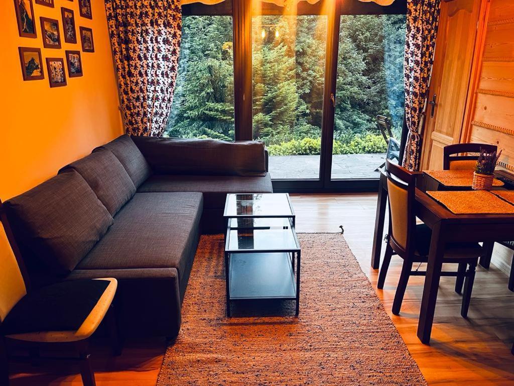 Butorowy Cichy Potok Apartment Koscielisko Luaran gambar